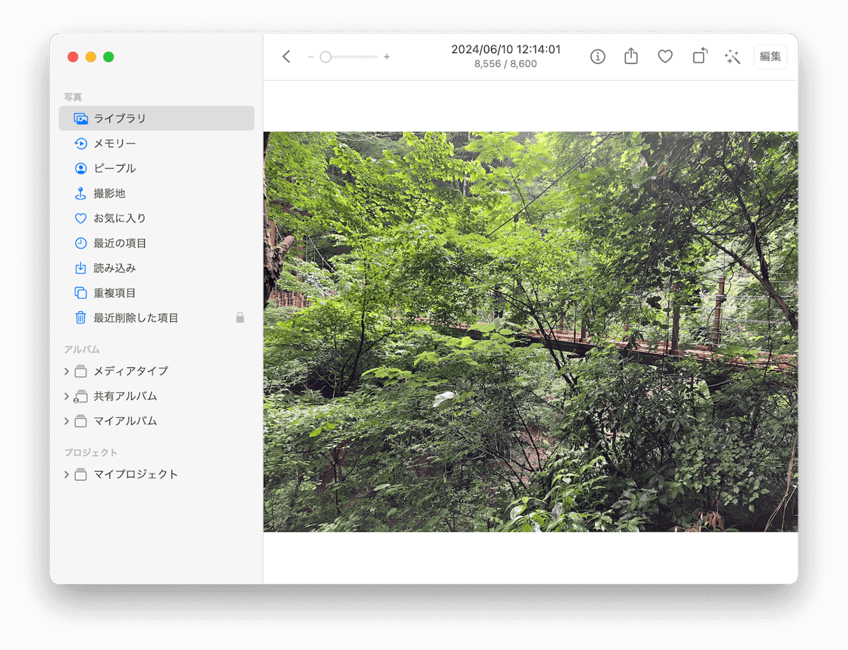 写真アプリでiOSデバイスの写真やビデオファイルを削除